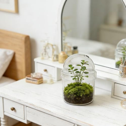 Small Plant Terrarium: Desktop Glass Terrarium Planter for Succulent, Moss, Miniature Gardening Landscape - Tiny Betta Fish Tank, Office Home Decoration
