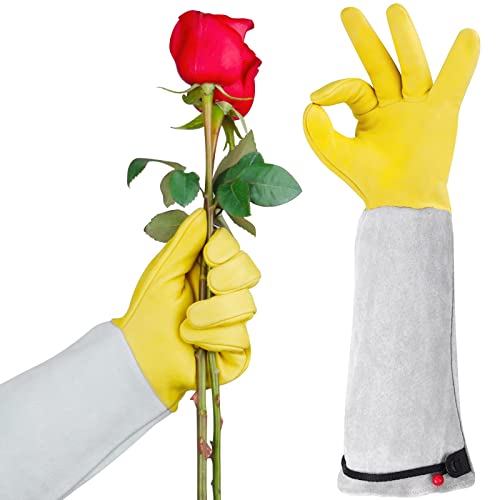 Gardening Gloves for Women/Men, Rose Pruning Thorn-Proof Long Leather Garden Gloves with Adjustable Cuff, Ladies Light Protective Glove for Yard & Outdoor Work - size: Medium (Pack of 1)