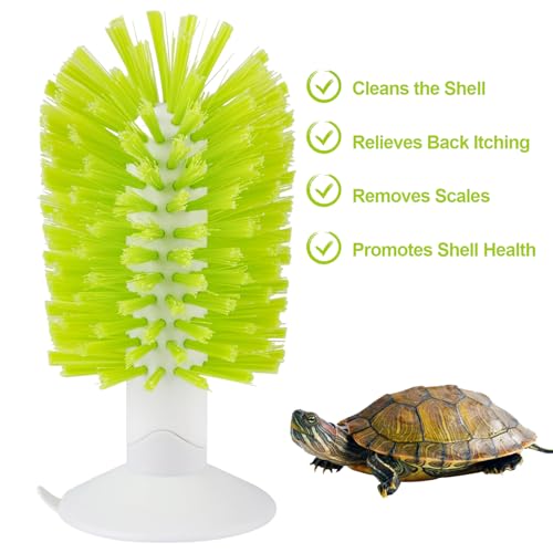 shuielai1PCS Turtle Brush with Suction Cup, Tank Scratch Scrub Back Shell Cleaner for Red Eared Slider, Exfoliate Remove Scutes, Green Turtle Aquarium Habitat Accessories
