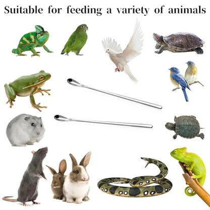 Abeillo 2Pcs Crested Gecko Feeding Spoon, Stainless Steels Reptile Spoon, 7.6 Inch Long Handle Crested Food Feeding Spoon for Gecko Lizard Gargoyle Bearded and Other Small Animals