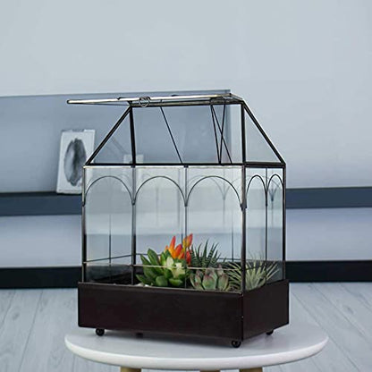 Large Tall Glass Plant Terrarium – House Succulent Terrarium Kit with Lip and Tray Glass Greenhouse Terrarium for Plant 9.5”X5.7”X11.4” - color: Black 3