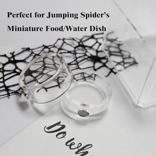 2Pcs Small Jumping Spider Feeding Dish, Magnetic Tiny Food Dishes Water Dish for Jumping Spider, Tarantula and Other Small Pets,35mm