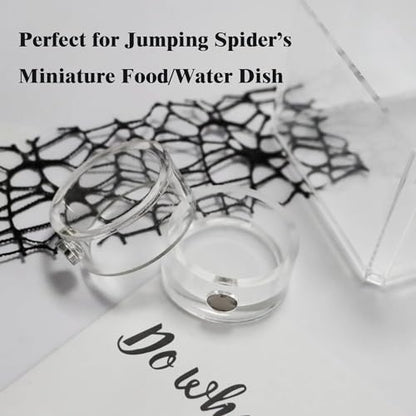 2Pcs Small Jumping Spider Feeding Dish, Magnetic Tiny Food Dishes Water Dish for Jumping Spider, Tarantula and Other Small Pets,35mm