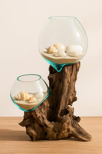 Cape Craftsmen 12" Hand-Blown Blue Tinted Bubble Glass On Natural Teak Driftwood Terrarium Kit | Home Décor Indoor Planter with Stand | Pot for Succulent and Plants - size: Large (With Stand)