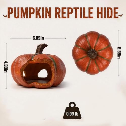 Gecko Hide, Reptile Hide, Resin Pumpkin Cave for Small Reptiles, Lizard, Spider, Gecko, Terrarium Decor Shelter, Halloween Style Habitat Ornament, 1 Pack