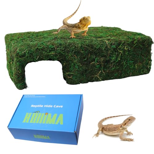 Handmade Reptile Moss Cave M, 9.4" Shelter for Gecko Hamster | Moss reptile cave hide, Smooth edges, no injury, Suitable for humid environments - color: M Green