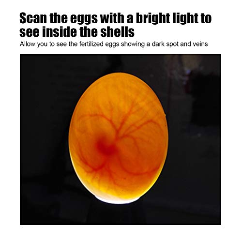 Egg Candler, Cool Light Portable Egg Candling Lamp with High Intensity Light, for Chicken, Goose, Duck, Eggs, Incubation Learning (Red)