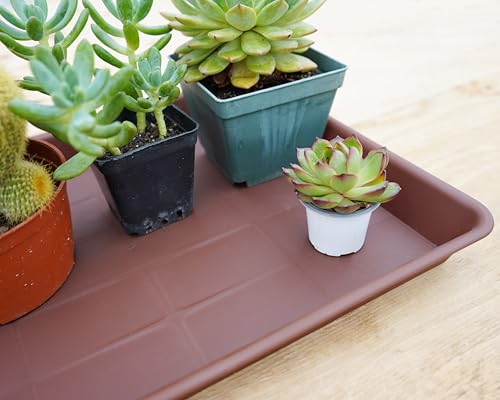 VUWEZ Rectangle Plant Tray, Plant Drip Tray, Plant Pot Saucers, Plant Germination Trays, Plant Saucers, 11'' x 9'' x 1.2'' (2 pack), Chocolate - color: Chocolate, size: 11'' x 9'' x 1.2'' (2 pack)