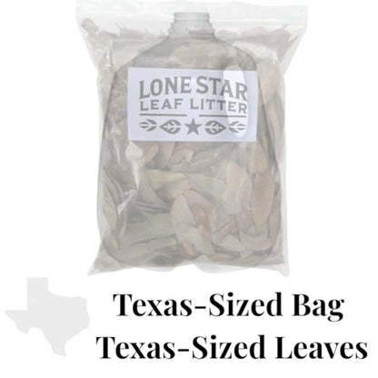Texas Live Oak Leaves in Resealable Bag (1 Gallon) - Bioactive Substrate for Reptiles, Isopods, Terrariums & Vivariums - size: 1 gallon - resealable