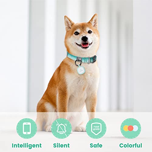 Pawaii Dog ID Tag, Silent Silicone QR Code Tag, Scan Alerts, No App, 1 Pack | Updatable online profile, emergency contacts, no subscription, lost pet recovery, collar friendly, lightweight wear - color: Green