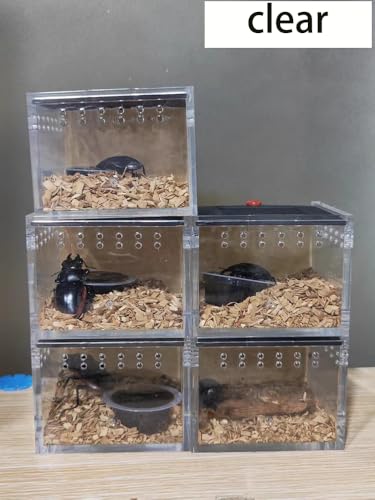 Black Acrylic Jumping Spider Enclosure Cage for Insect Reptile Isopods | Semi-concealed Portable Breeding Enclosure, Sliding Lid Handheld Design Easy to Observe Jumping Spiders and small pets