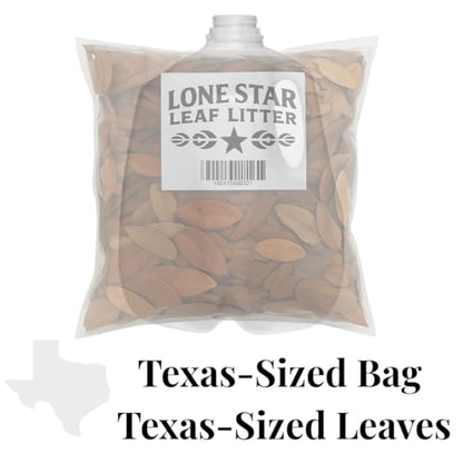 Texas Live Oak Leaf Litter for Reptiles, Bioactive Substrate, Leaf Litter for Isopods, Natural Habitat Enrichment, Terrariums and Vivariums, (1 Gallon) - size: 1 gallon - standard