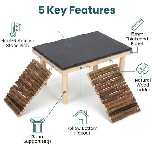 Bearded Dragon Basking Platform, Natural Slate Reptile Basking Rock with Wooden Climbing Ramp, Terrarium Habitat Decor for Lizard, Leopard Gecko, Tortoise, Snake