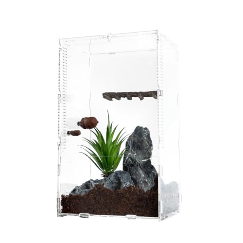 REPTI ZOO Jumping Spider Hideout and Feeding Dish, Nut Shaped Hide and Cave Sets for Spider Playing, Feeding and Climbing, Pet Spider Enclosure Accessories