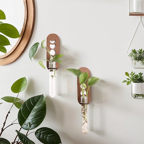 Artilady Plant Propagation Station Wall Hanging, Moon Phase Plant Terrarium | Boho Wood Air Plant Holder for Indoor Plants, Window Propagation Stations Vases for Living Room Bedroom Wall Decor, 2 Pack - color: Moon Phase Wood