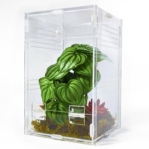 Jumping Spider Enclosure 6”x6”x10”, Arboreal Tarantula Enclosure, Praying Mantis Terrarium Critter Cage for Jumping Spider, Tarantula, Mantis, Snail, Isopods, Beetles, Millipedes - size: Large
