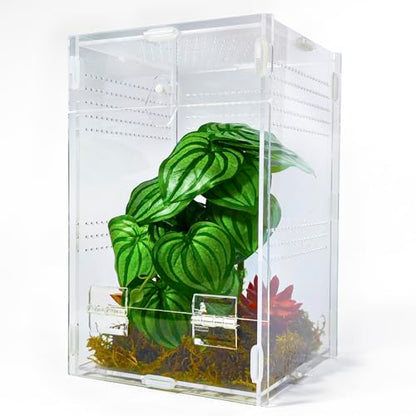 Jumping Spider Enclosure 6”x6”x10”, Arboreal Tarantula Enclosure, Praying Mantis Terrarium Critter Cage for Jumping Spider, Tarantula, Mantis, Snail, Isopods, Beetles, Millipedes - size: Large