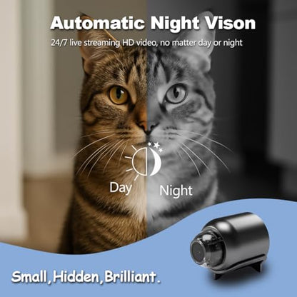 Mini WiFi Monitoring Camera for Reptile Habitats, Hatchling Care, Terrariums and Incubation Enclosures – Compact Design with Wireless WiFi Connection and Motion Alerts