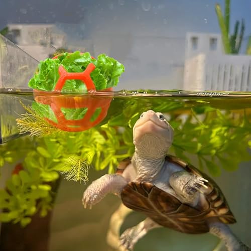 3 Pack Feeding Ball Toys for Tortoise, Tortoise Plastic Foraging Toy, Turtle Habitat Tank Accessories, Vegetable Supplier for Turtle