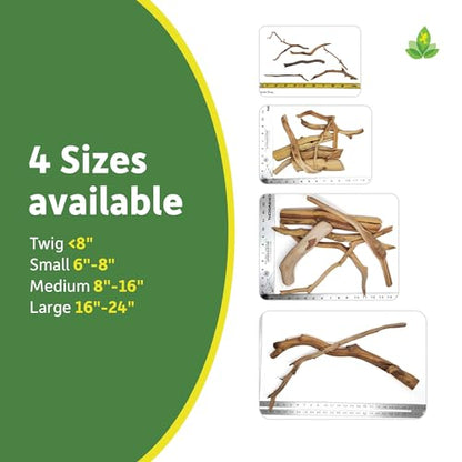 Josh's Frogs Manzanita Wood (Large) - size: Large
