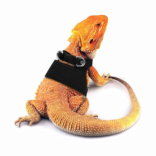 Bearded Dragon Leash and Harness Set, Beardie Carrier, Lizard Adjustable Harness with Leather Wings and Sling Bag, Reptile Small Pet Backpack Batwing Accessories (Black) - color: Black
