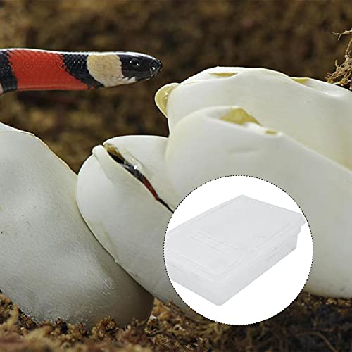 POPETPOP Hatching Box for Reptiles Lightweight Incubation Container for Snakes Lizards and Geckos Transparent Design for Visibility Safe Plastic Material for Growth