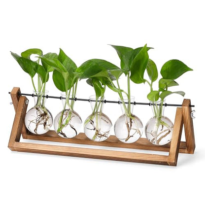 YIBOT Plant Propagation Stations with Wooden Stand & 5 Glass Bulb Vases | Tabletop Plant Terrarium for Propagating Hydroponic, Retro Glass Planter Flower Vase Home Kitchen Office Decor Gifts - size: 5Bulb-A