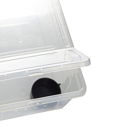 OMEM Portable Reptile Terrarium Habitat for Mini Pet Houses Breathable Holes Stackable Container (M) - size: 1PCS-Clear-M