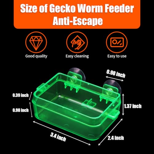 Reptile Suction Cup Feeder 2 Pack, Anti-Escape Food Bowl | for Gecko Lizard Iguana Chameleon Spider Frog Snake, Wall Mount Strong Suction Feeding Dish (Green, S)