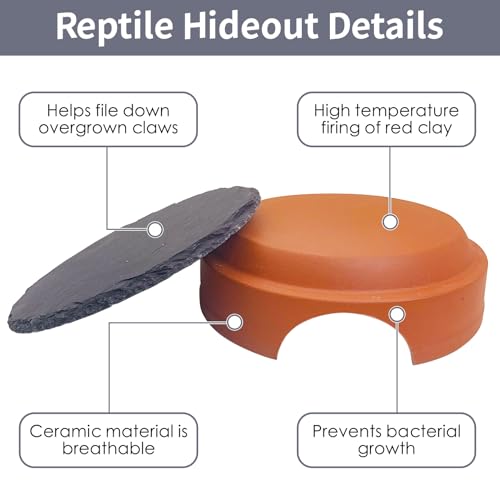 Hamiledyi Small Reptile Hideout Cave Box Diameter 3.7 in Ceramic Humid Shelter and Basking Platform Leopard Gecko Humid Hide for Smaller Lizards Snakes