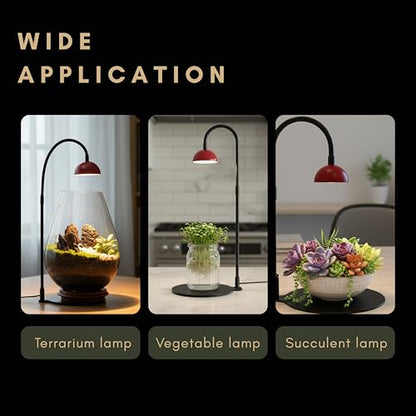 Desktop Grow Lamp Terrarium Light Plant Light on Table with Flexible Gooseneck Lamp for Terrarium Kitchen Vetegable Succulent Lamp with Auto Timer 3/6/12Hrs, 4 Brightness Levels (Red) - color: Red