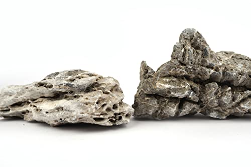 Seiryu Stone Natural Aquascaping Rock 17lb Planted Aquarium Iwagumi | Bluish veined texture; iwagumi and aquascape - size: 06 Seiryu Stones(3-11inch,17lbs)