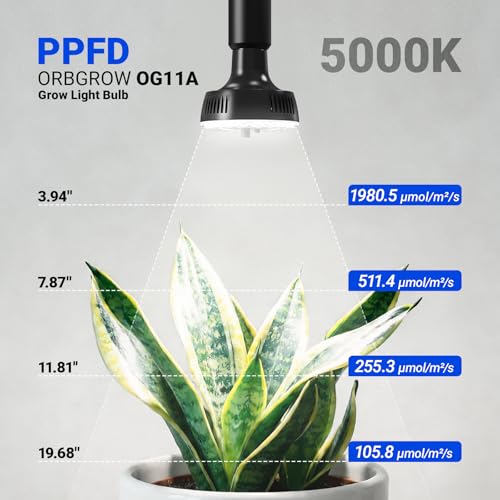 Barrina OG11A Grow Light Bulbs for Indoor Plant, 5000K 11W, 2 Packs, Black | Integrated Dimming & Timing, E26 Plant Light Bulb, Full Spectrum, High PPFD for Seeds and Greens - color: 5000K-Black Cover, size: 11W-2 Packs