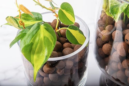 SuperMoss (24089) Natural LECA Clay Pebbles for Plants 4mm-16mm – Premium Clay Balls for Hydroponics, Orchid Potting Mix, Indoor Plant Soil Drainage, Terrarium Supplies & Hydroponic Grow Systems, 2qt