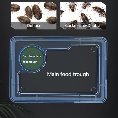 Reptile Water Bowl - Anti-Escape Crested Gecko Food Dish, Reptile Amphibian Feeders, Polystyrene | Snake Water Bowl for Habitat Feeding Gecko Chameleon Terrarium Frog Tank Lizard Tortoise Cage Le - color: Blue