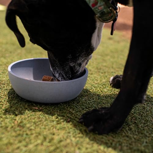 Loving Pets - Dolce Bamboo - Eco-Friendly Pet Bowls & Dishes for Dog, Cats, Puppy Food and Water Bowl -Sustainable and Dishwasher Safe, Made with Real Bamboo (Small, Slate-Grey) - color: Slate Grey, size: Small Bowl