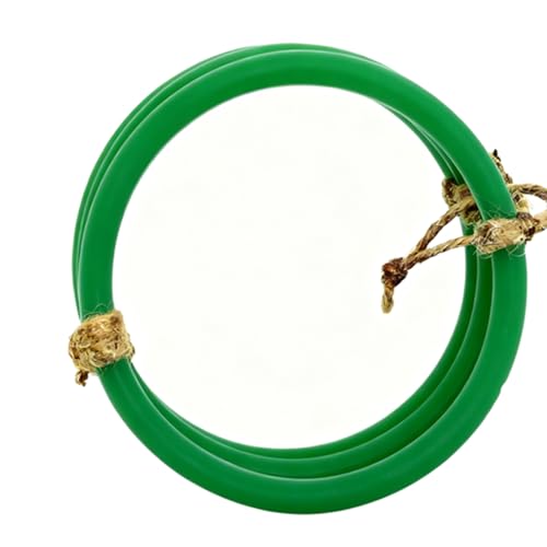 Snake Climbing Rings for Ball Python Corn Snake, Reptile Enrichment Toys for Snake, Ball Python Tank Decor, Reptile Tank Accessories for Bearded Dragon,Lizard,Swing Climbing Hoop Chain(Green)