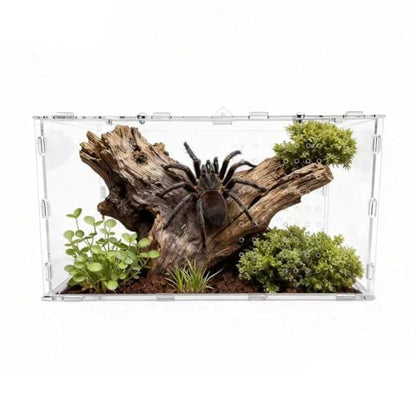 The Ultimate Small Animal Terrarium 7.9" x 5.9" x 11.8": A Versatile Reptile Serving as a Complete Starter Tank for a Wide Range of Species Including Lizards, Geckos, Frogs, Crabs, and Spiders