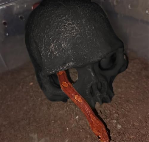 Aquarium Terrarium Skull Decor, Reptile Hide House Shelter Cave for Geckos Spider Lizard Snake, Fish Tank Hide Cave House Hideouts Stones for Small Fish Shrimp Betta Crab Guppy Cichlids (Black)