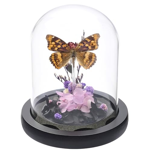 Handmade Butterfly Specimen Boxes Glass Cover Ornaments | Dried Flowers, Plants, Holiday Decorations Birthday Gift for Women - color: Apatura Ilia