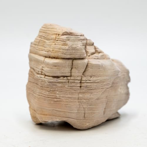 Aquarium Stone Rock 20lb Fish Tank Stone 2-8inch for Aquarium Landscaping, Terrariums, Vivarium Enclosures, Miniature and Fairy Gardens-7-8Pcs - size: 20lb (2-8inch 7-8Pcs)