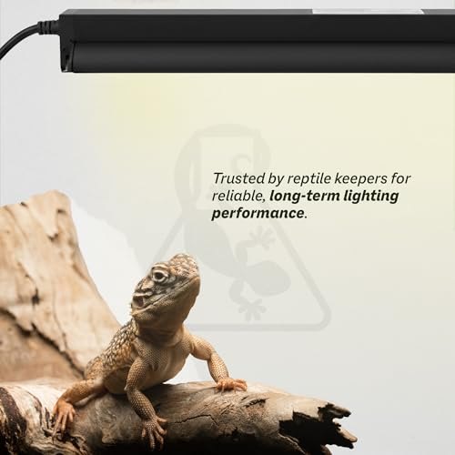 Reptile Systems T5 Ferguson Zone 2 Reptile Lamp – 24-in, 24-watt – Light for Reptiles, Chameleons & Geckos – Ideal for Tanks & Vivariums - size: 22in-24w