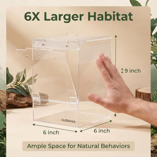 Jumping Spider Enclosure, 6x6x9 Inch Upgraded Acrylic Tarantula Terrarium Habitat with Dual Magnetic Doors, Fully Assembled Escape-Proof Insect Tank for Mantis, Gecko, Lizard & Small Reptiles