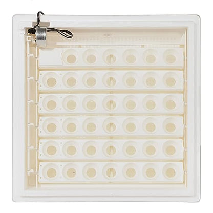 Farm Innovators 4250 Digital Circulated Air Incubator with Egg Turner | 4 dozen egg capacity; auto turner; integrated fan; digital display w/temperature, humidity, days to hatch; large window; 40W