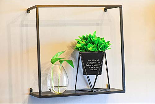 Kingbuy Egg Shaped for Propagating Hydroponic Plants 2 Pack Wall Planter | Borosilicate glass, clear & durable. Egg-shaped wall-mounted vases. Ideal for hydroponics, air plants, cuttings. Great gift. - color: Ellipse Shape