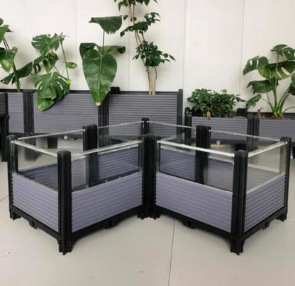 Large Tortoise Habitat Enclosure for Yellow-Margined