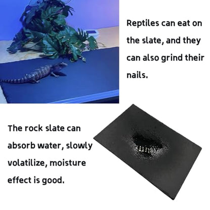 Reptile Basking Platform Turtle Rock Plate 11.8''X7.8'' Feeding Platform Food Bowl Slate Dish Bathing Rock Resting Terrace for Lizard Bearded Dragon Chameleon Gecko Snake Frog Newt - size: 11.8x7.8inch-rectangle(1pcs)