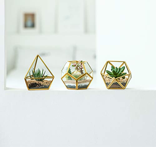 Mkono 3 Pack Geometric Glass Terrarium, 4" Gold Air Plant Holder Tabletop | Modern Centerpiece Decor, 3 Shapes Metal Frame, Fits Succulent Moss Fairy Garden Shelf Coffee Table, Plants Not Included - color: Gold