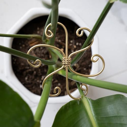 5PCS Plant Stem Support-4.1 * 4.1IN Gold Metal Stem Stabilizers | Durable Iron Grapple Holder for Monstera & Climbing Plants,Unique Design for Optimal Growth,Leaf Stabilization and Support - size: 4.1*4.1IN