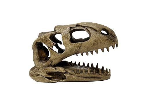 The Bio Dude - Dino Decor T REX bioactive Terrarium and Vivarium Skull Accent. Looks Natural